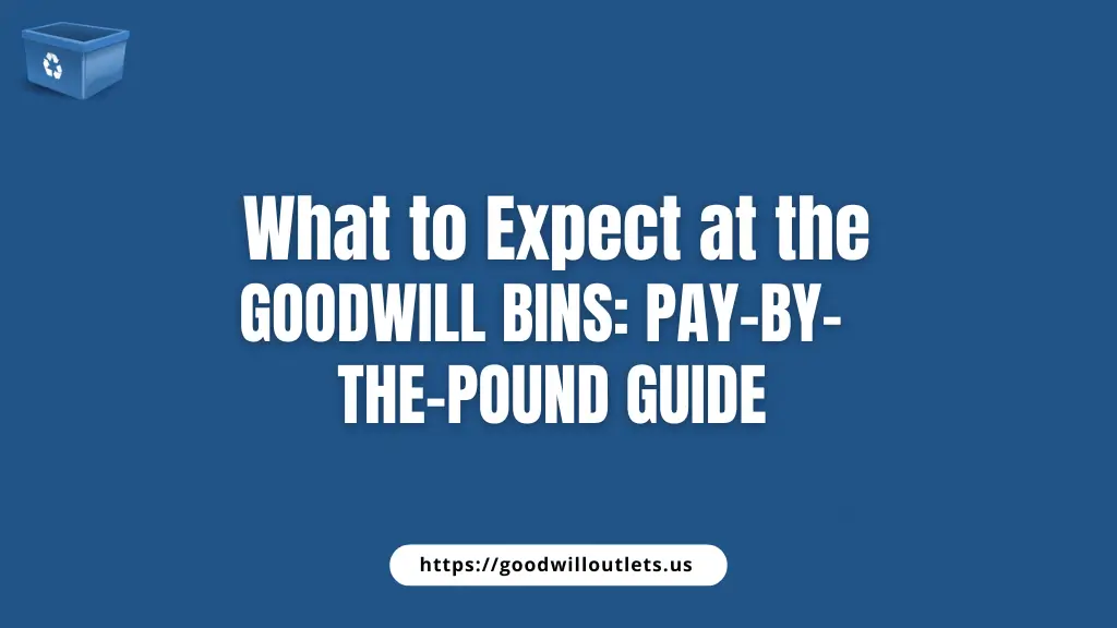 What to Expect at the Goodwill Bins Pay-by-the-Pound Guide